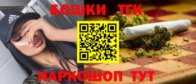 гидра Брянск