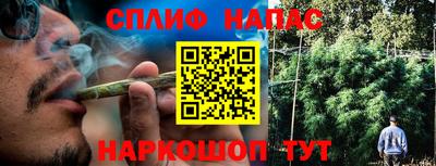 spice Боровичи