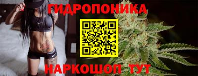 гидра Брянск