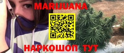 spice Боровичи