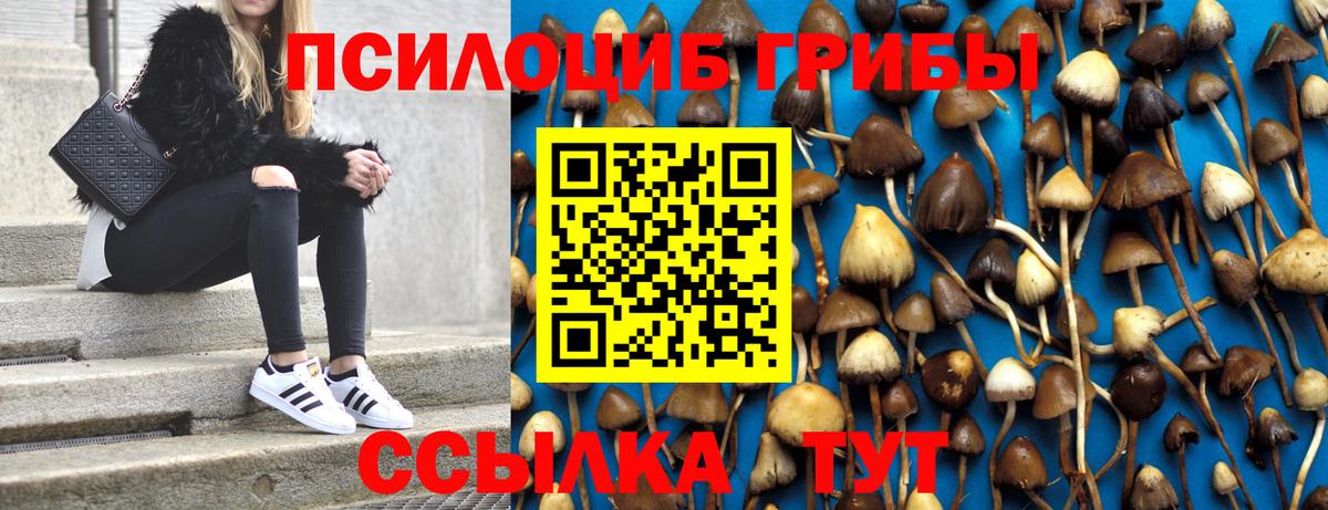 Псилоцибиновые грибы MAGIC MUSHROOMS Брянск