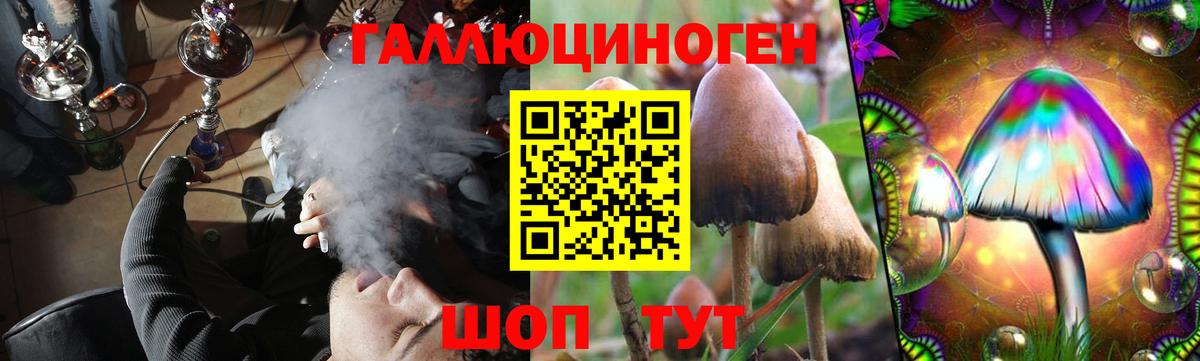 Галлюциногенные грибы MAGIC MUSHROOMS  Вход с VPN  Брянск 